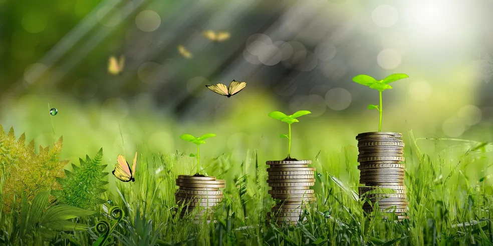 Debentures: o que são, como funcionam e se valem a pena em 2026